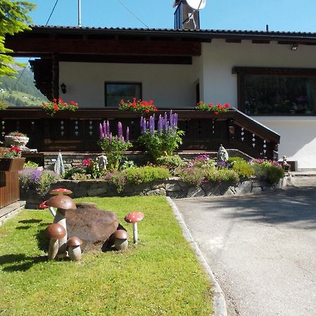 Haus Gerlinde Danler Διαμέρισμα Neustift im Stubaital Εξωτερικό φωτογραφία